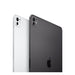 Apple iPad Pro 11 2024 256GB silber