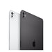 Apple iPad Pro 5G 256 GB silber